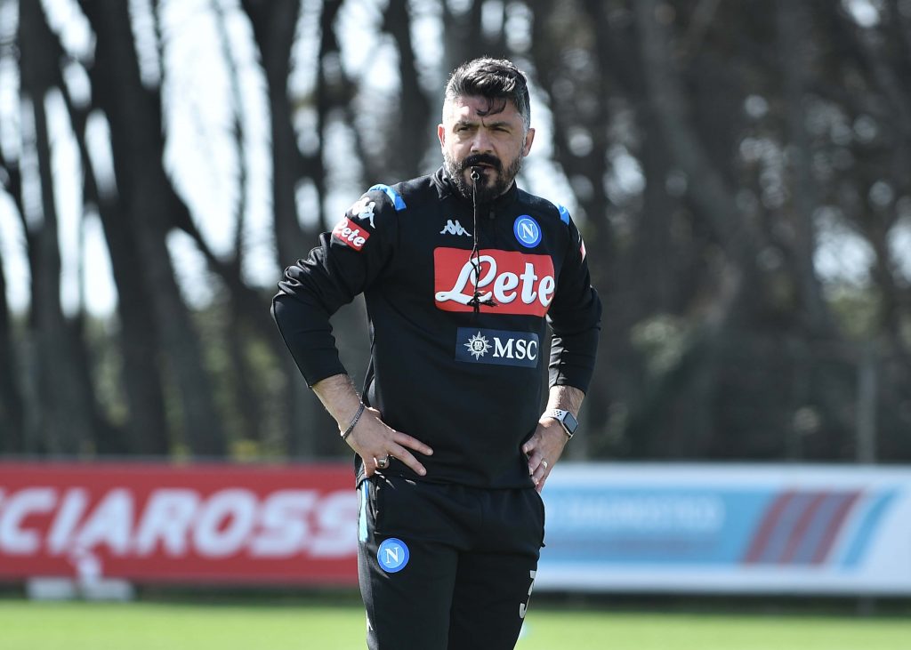 Orsi gattuso