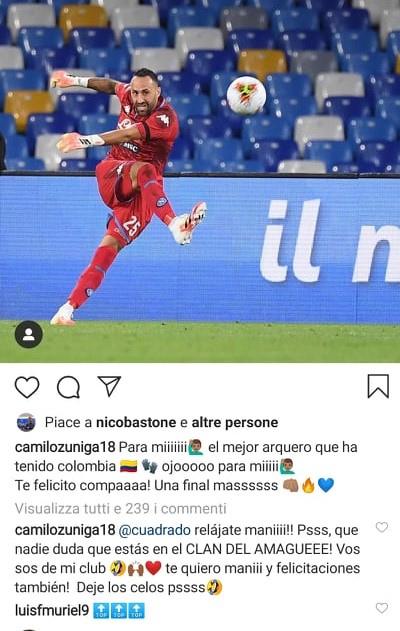 Zuniga