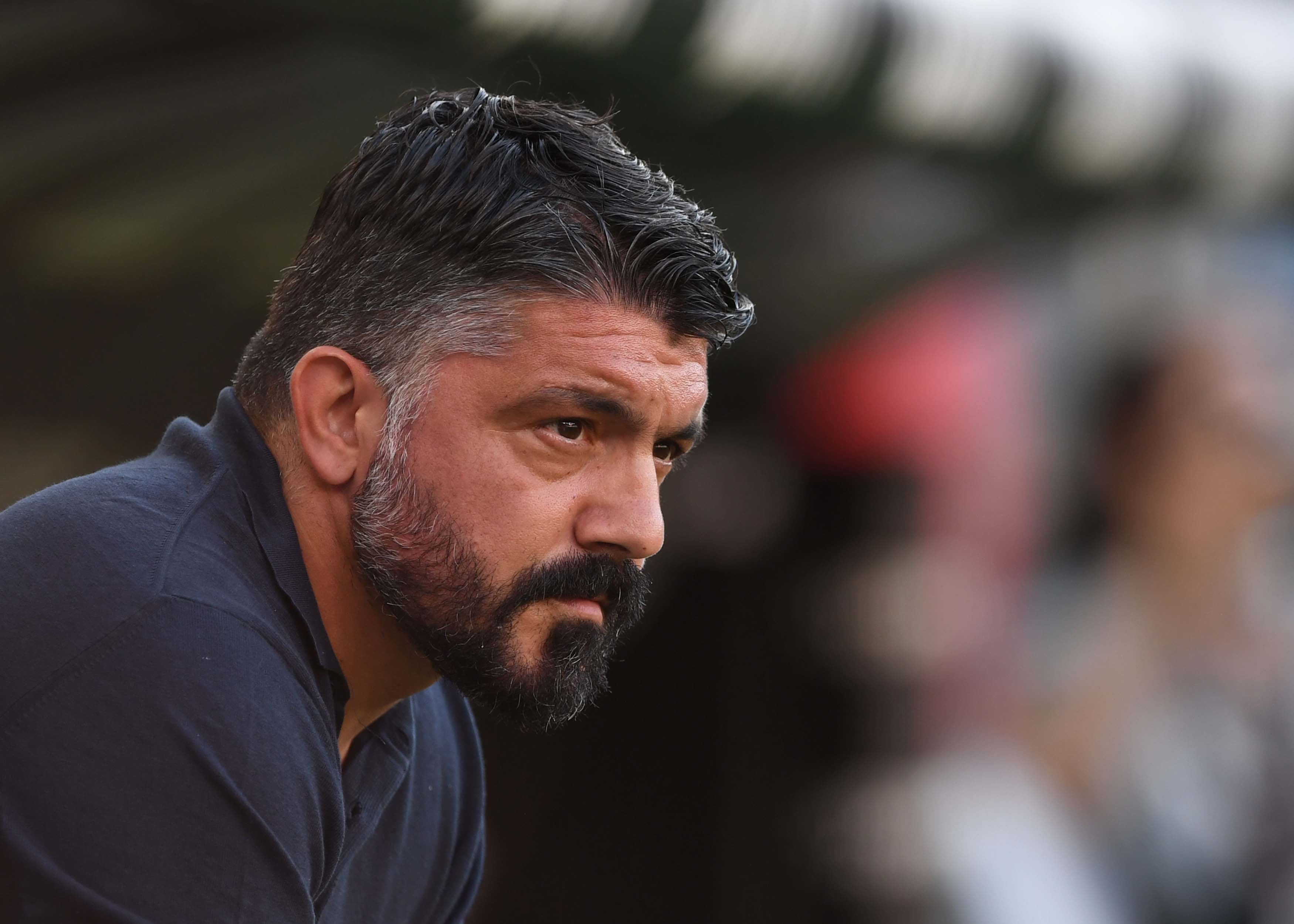 Gattuso, Napoli Udinese